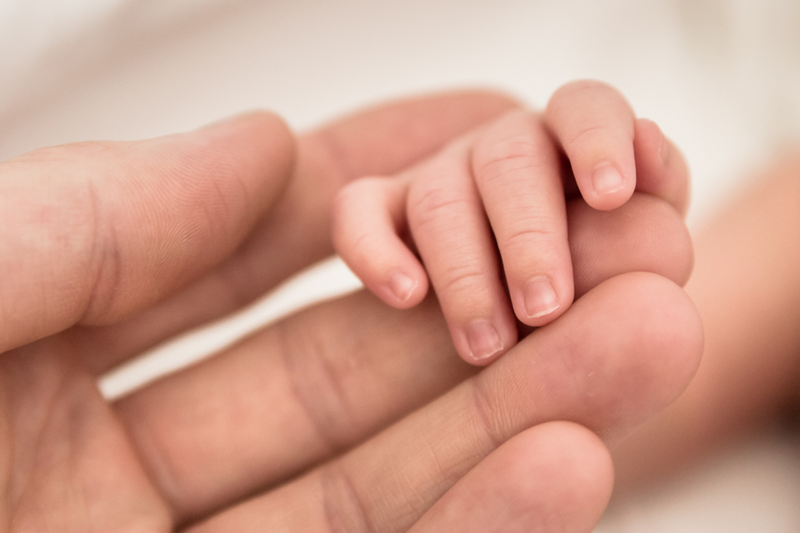 Hands of father and baby