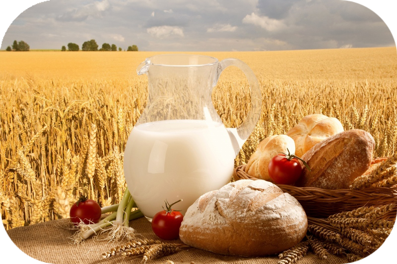 Shavuos - Why Do We Eat a Dairy Meal?